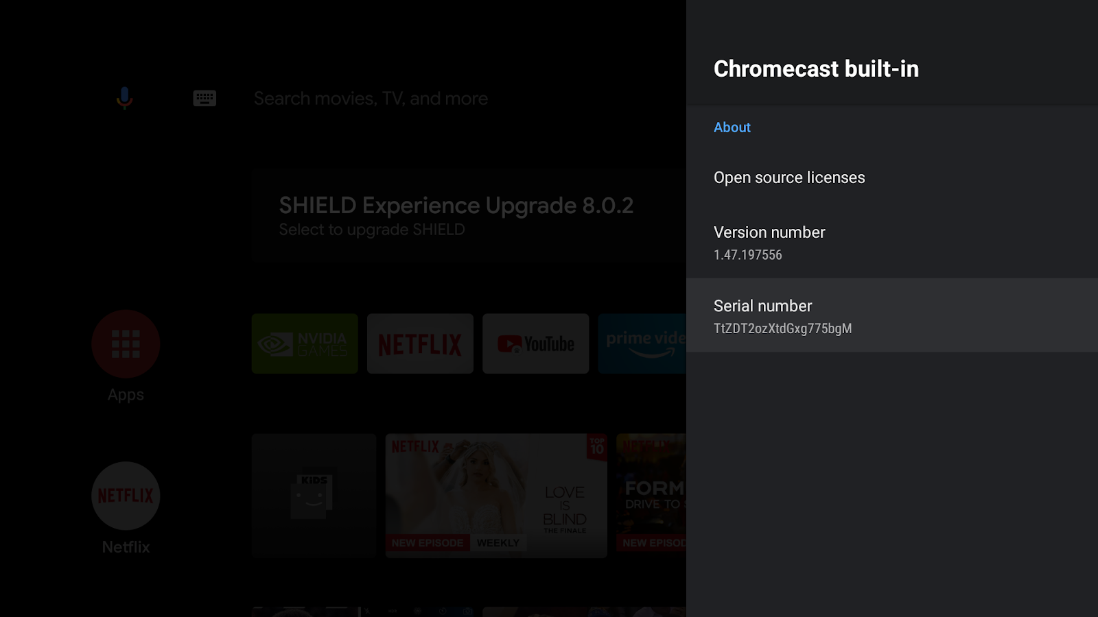 Image of an Android TV screen showing the 'Google Cast' screen, the Version number and Serial number